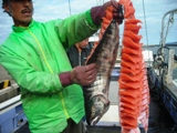 漁師の鮭トバ作り