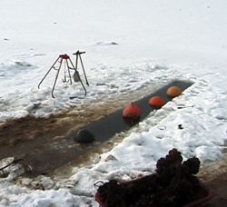 氷下のカキ漁